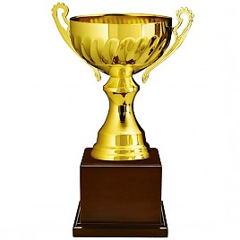 963컵 우승컵  [JW447-01]