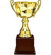 809컵 우승컵  [JW447-02]