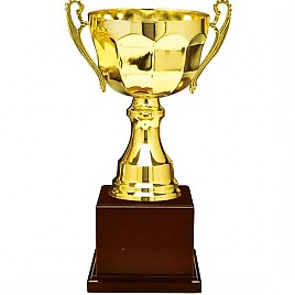 809컵 우승컵  [JW447-02]