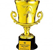 BA909 우승컵  [JW447-07]