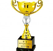 카스티나 우승컵  [JW448-03]