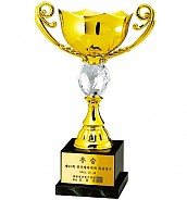 카스티나 우승컵  [JW448-03]