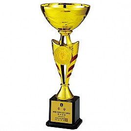 코지컵2 우승컵  [JW449-01]