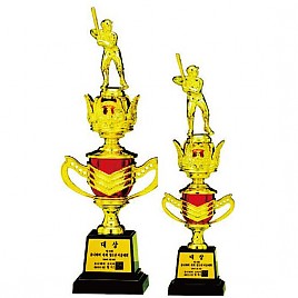 AT119 트로피  [JW456-08]