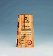 나무 상패 [JW999-01]